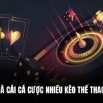 SV88 – Nhà Cái Cá Cược Nhiều Kèo Thể Thao Hấp Dẫn 57 SV88 – Nhà Cái Cá Cược Nhiều Kèo Thể Thao Hấp Dẫn